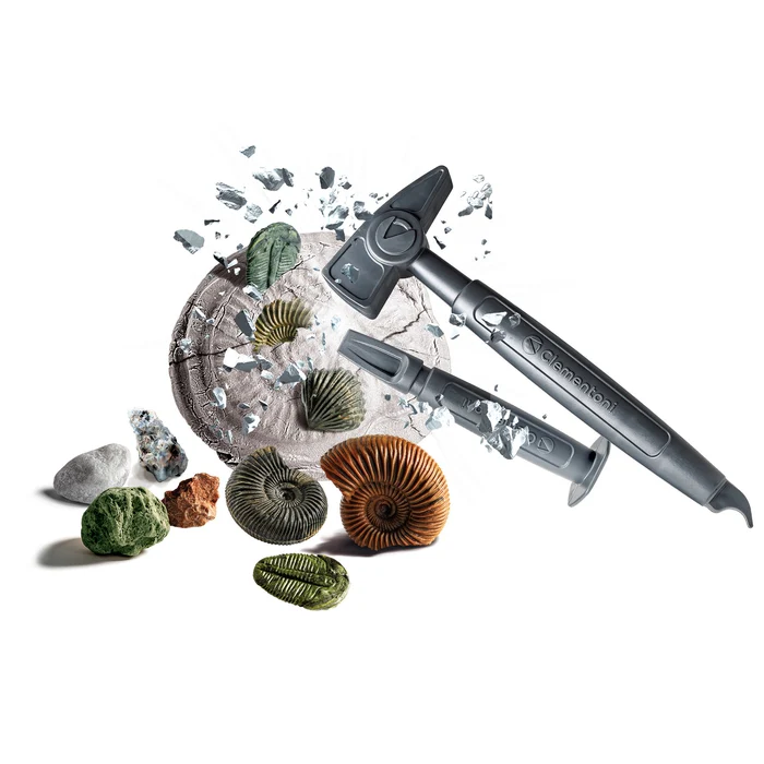 Fossiles et Minéraux – Image 2