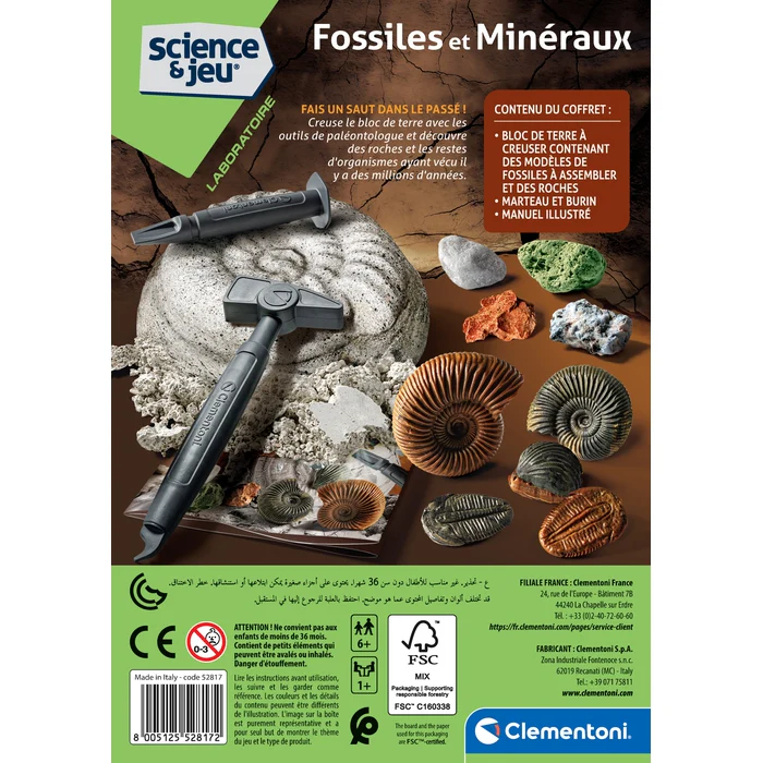 Fossiles et Minéraux – Image 3