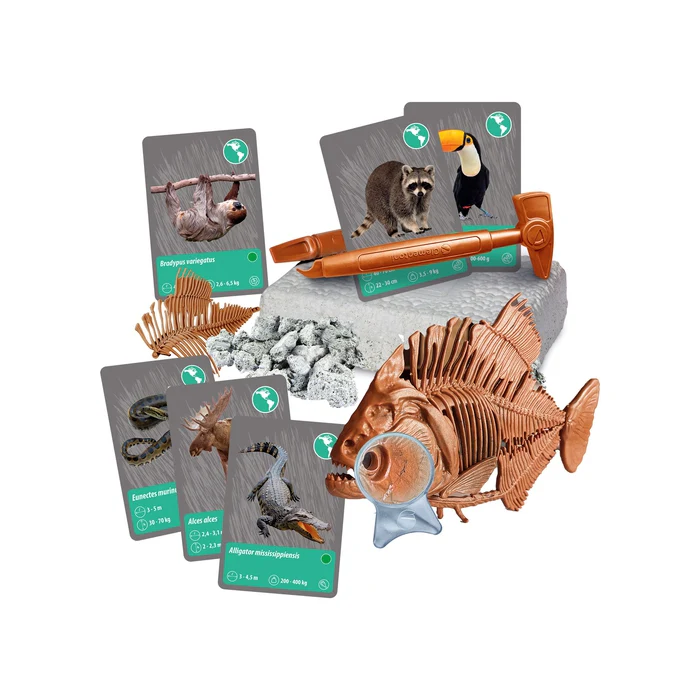 Les animaux de la planète Terre - Réalité Virtuelle – Image 6