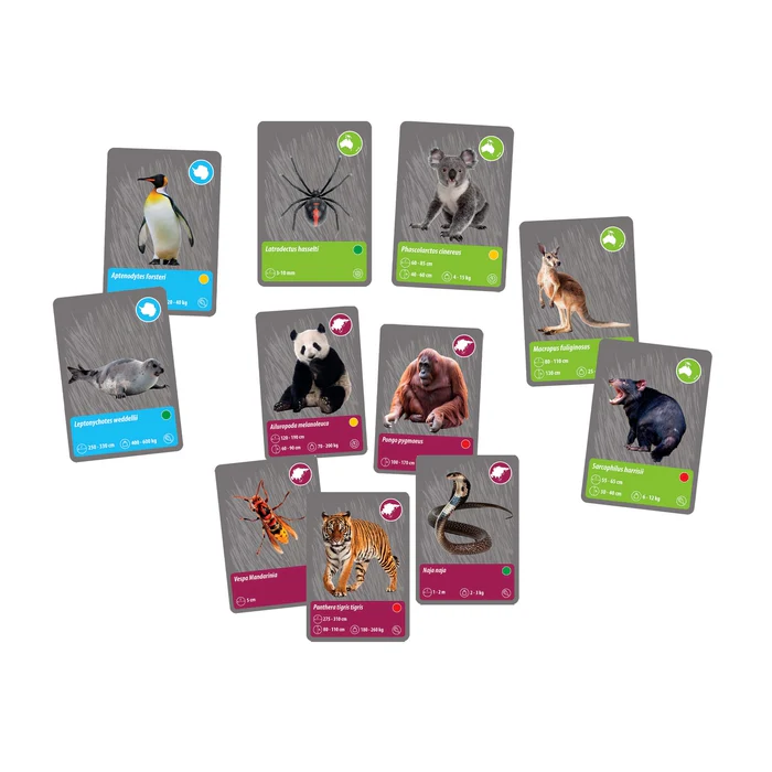 Les animaux de la planète Terre - Réalité Virtuelle – Image 3