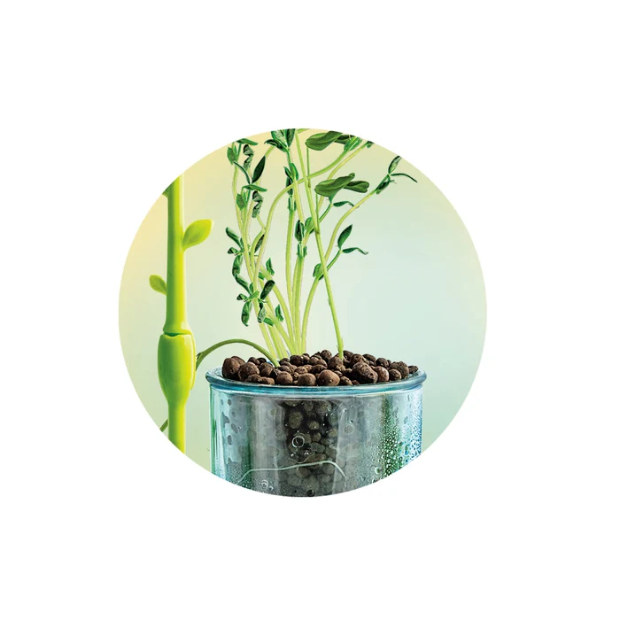 Mini Serre – Image 6