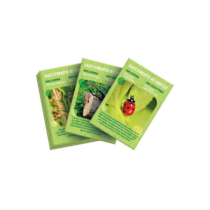 La maison des insectes – Image 6