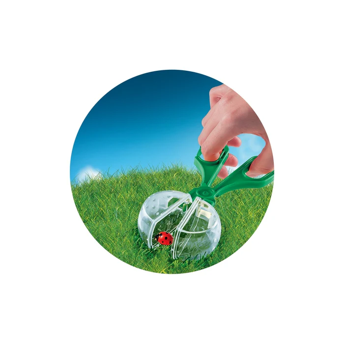 La maison des insectes – Image 3