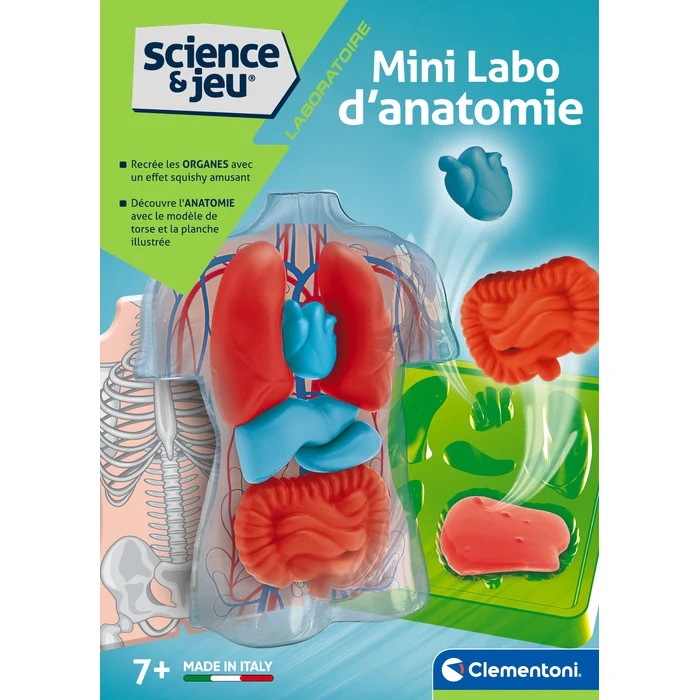 Mini Labo d'anatomie – Image 6
