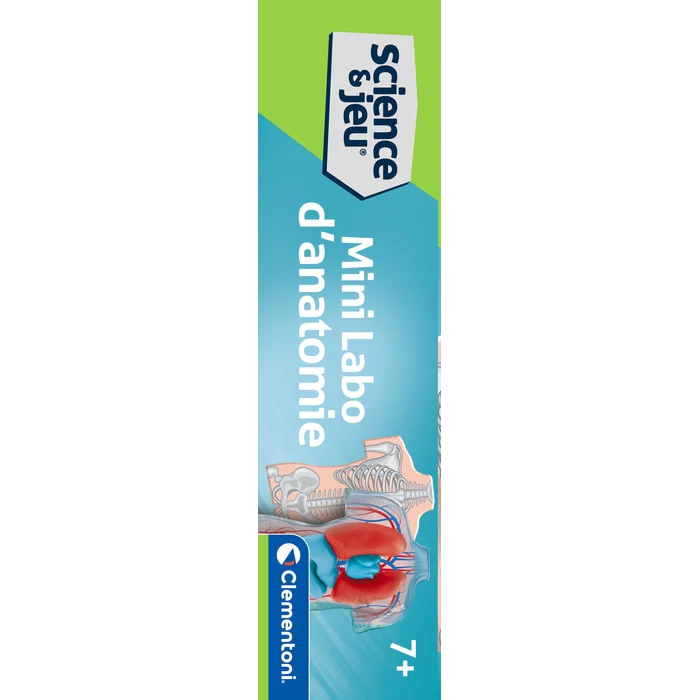 Mini Labo d'anatomie – Image 7