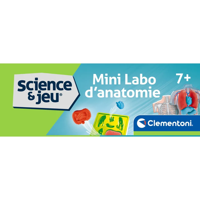 Mini Labo d'anatomie – Image 8