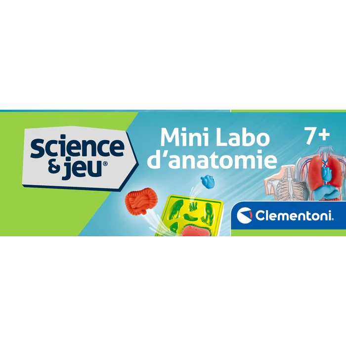 Mini Labo d'anatomie – Image 9