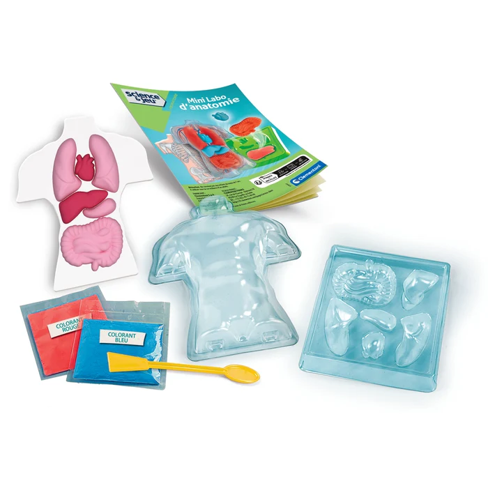 Mini Labo d'anatomie – Image 4