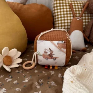 Cube d'éveil - Karott