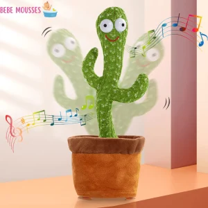 JEU EDUCATIF | CactusDancer